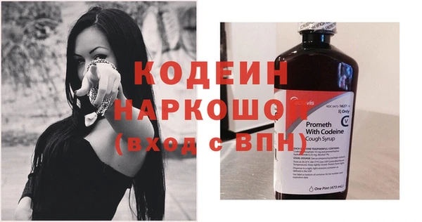 гашик Верея