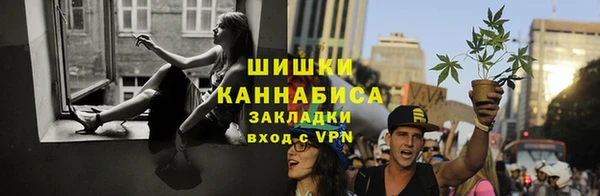 гашик Верея