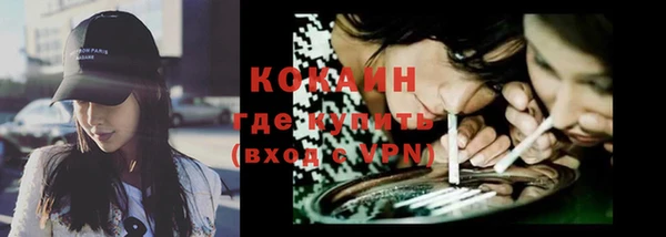 гашик Верея