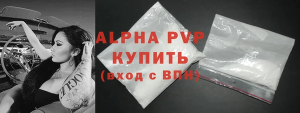 гашик Верея