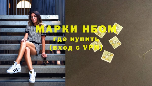 гашик Верея