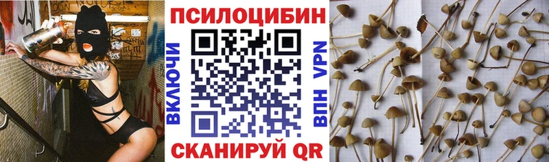 купить наркотик  Цоци-Юрт  Псилоцибиновые грибы Magic Shrooms 