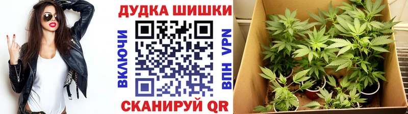 где можно купить наркотик  Цоци-Юрт  Марихуана Ganja 